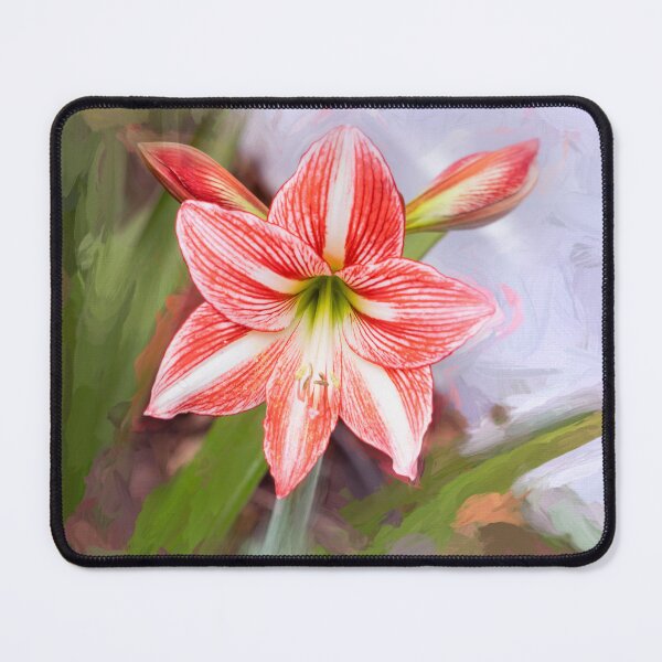 Item preview, Sweet Lillian Amaryllis X140 designed and sold by RichFrancoCars.