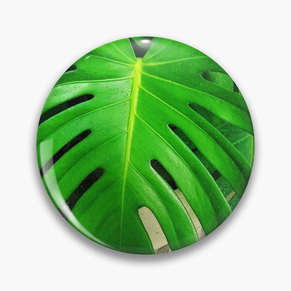 Item preview, Monstera deliciosa big green leaf plant designed and sold by pfc-art.