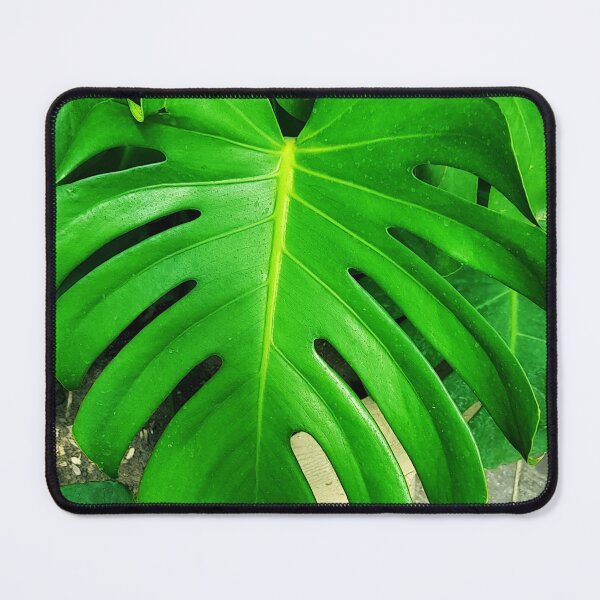 Item preview, Monstera deliciosa big green leaf plant designed and sold by pfc-art.