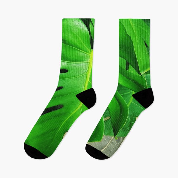 Item preview, Monstera deliciosa big green leaf plant designed and sold by pfc-art.