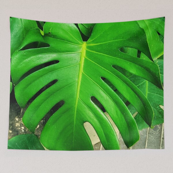 Item preview, Monstera deliciosa big green leaf plant designed and sold by pfc-art.