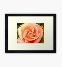 PEACH Framed Print