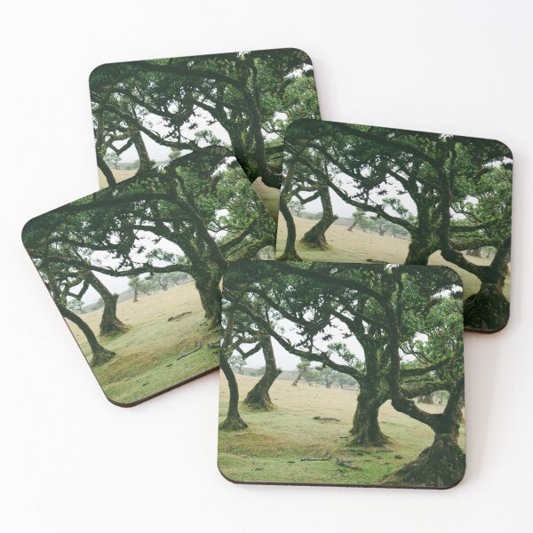 Item preview, fanal forest, madeira designed and sold by Adi M.