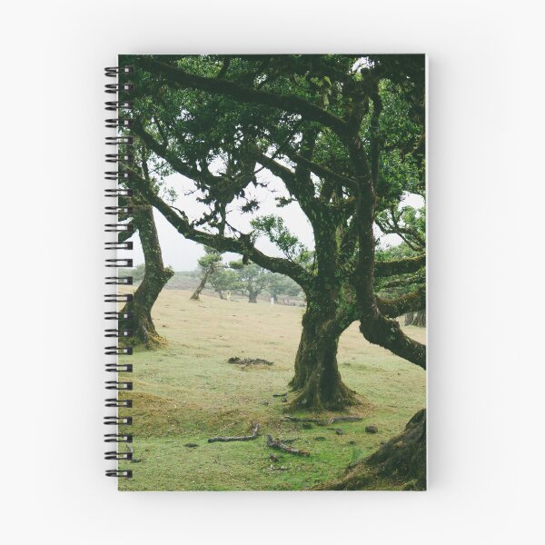 Item preview, fanal forest, madeira designed and sold by Adi M.