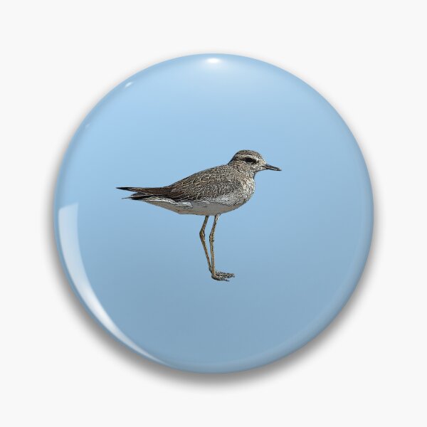 Item preview, Oriental Dotterel Plover Color Design  designed and sold by designsasstultd.