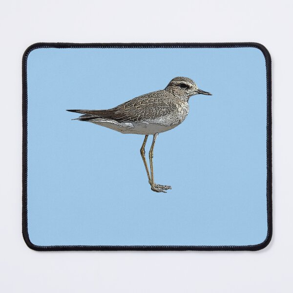 Item preview, Oriental Dotterel Plover Color Design  designed and sold by designsasstultd.