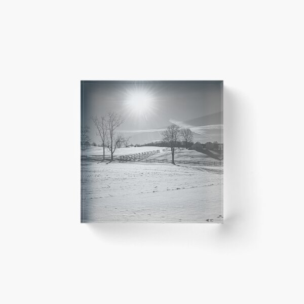 Item preview, Blazing Winter Sun BW designed and sold by Jim Love.