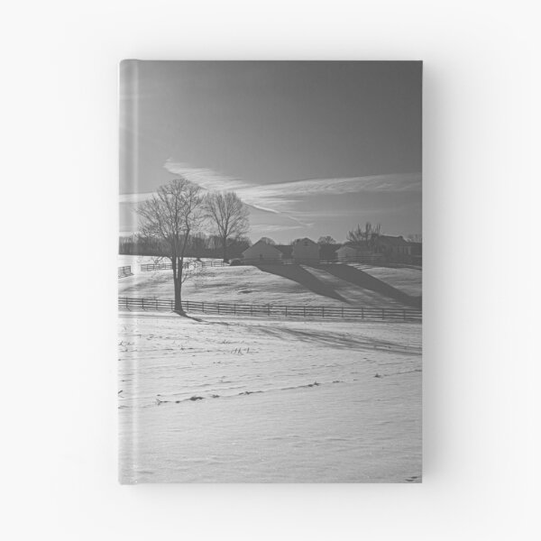 Item preview, Blazing Winter Sun BW designed and sold by Jim Love.