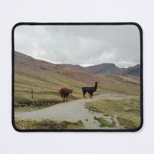 Item preview, llamas at rainbow mountain, peru designed and sold by Adi M.