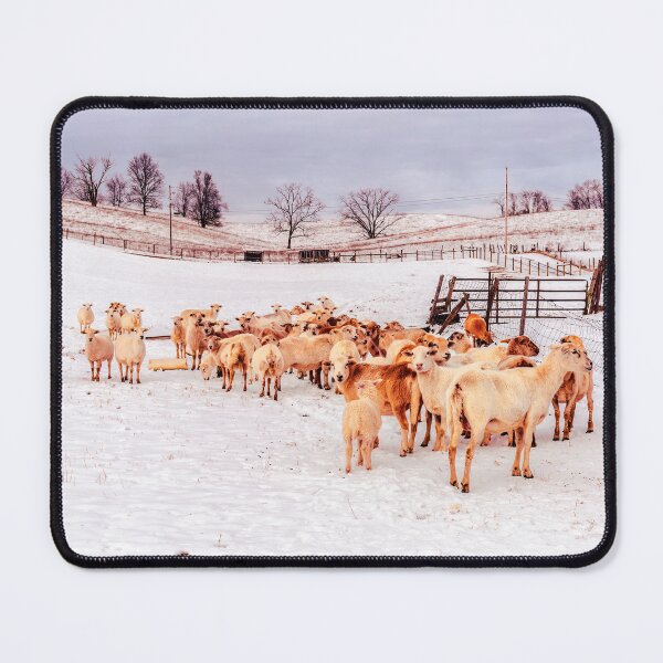 Item preview, Great Day For The Wool Coats designed and sold by Jim Love.
