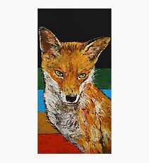 Red Fox Photographic Print