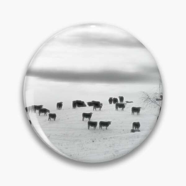 Item preview, Angus...Easy To Find In Winter designed and sold by Jim Love.
