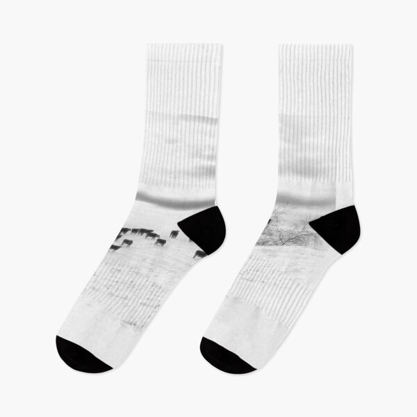 Item preview, Angus...Easy To Find In Winter designed and sold by Jim Love.