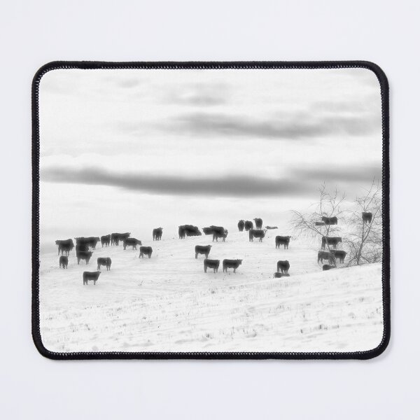 Item preview, Angus...Easy To Find In Winter designed and sold by Jim Love.
