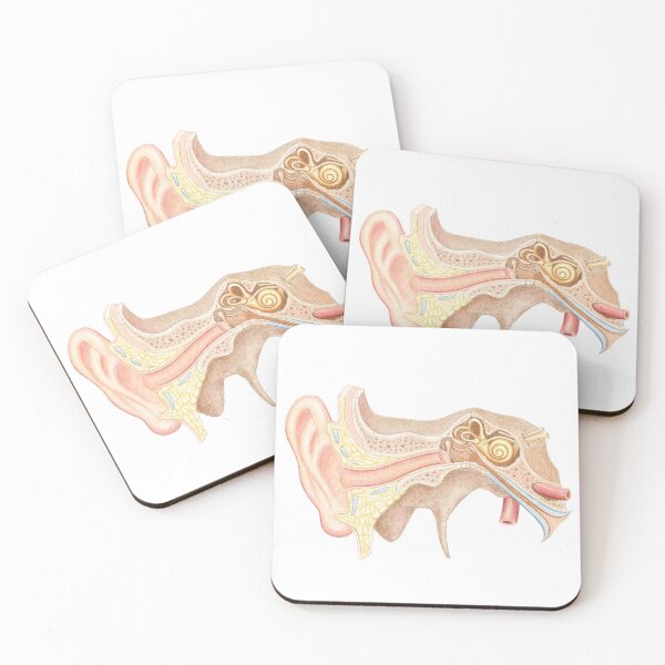 Item preview, ear anatomy designed and sold by Emma Cheng.