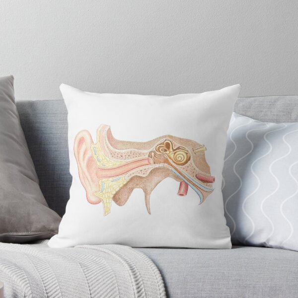 Item preview, ear anatomy designed and sold by Emma Cheng.