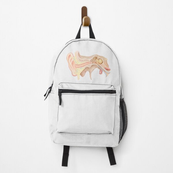 Item preview, ear anatomy designed and sold by Emma Cheng.