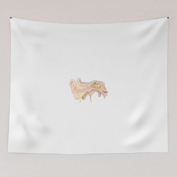 Item preview, ear anatomy designed and sold by Emma Cheng.