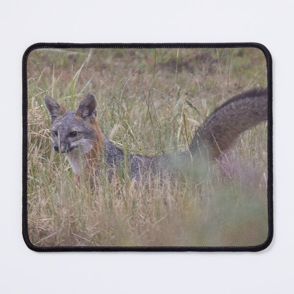 Item preview, Fox in a field designed and sold by Anthony Brewer.
