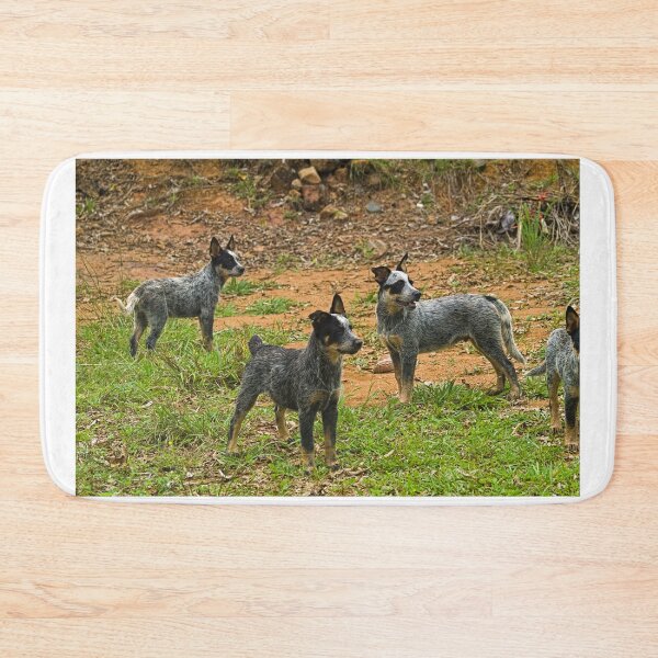 Item preview, Kla blue pack designed and sold by pcfyi.