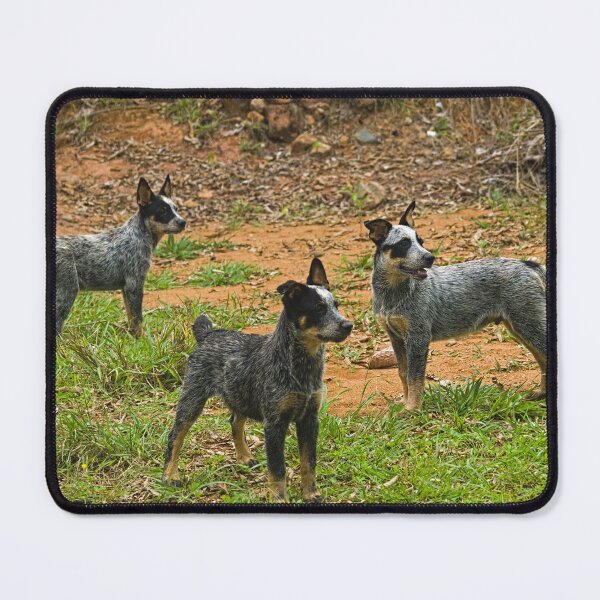 Item preview, Kla blue pack designed and sold by pcfyi.