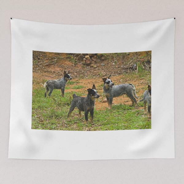 Item preview, Kla blue pack designed and sold by pcfyi.