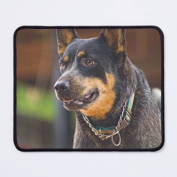 Item preview, Kla concentration designed and sold by pcfyi.