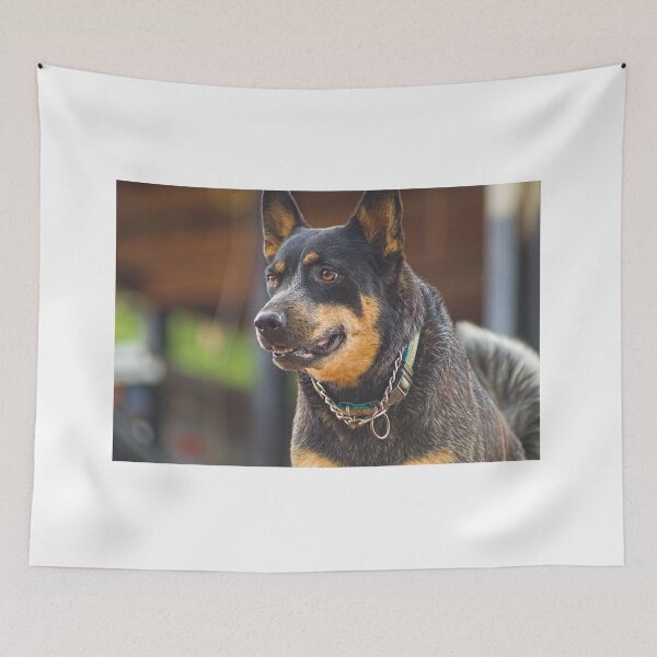 Item preview, Kla concentration designed and sold by pcfyi.