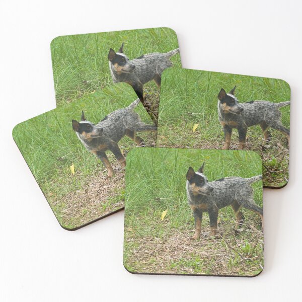 Item preview, Kla investigating designed and sold by pcfyi.