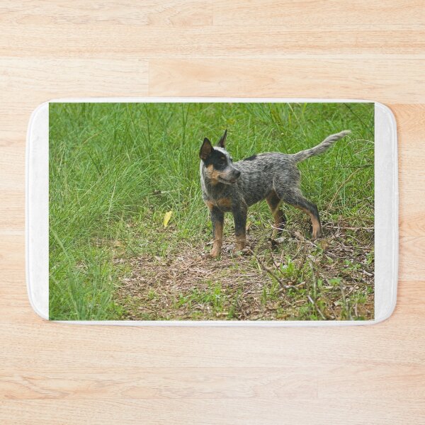 Item preview, Kla investigating designed and sold by pcfyi.
