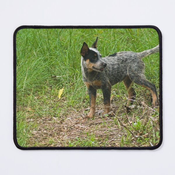 Item preview, Kla investigating designed and sold by pcfyi.