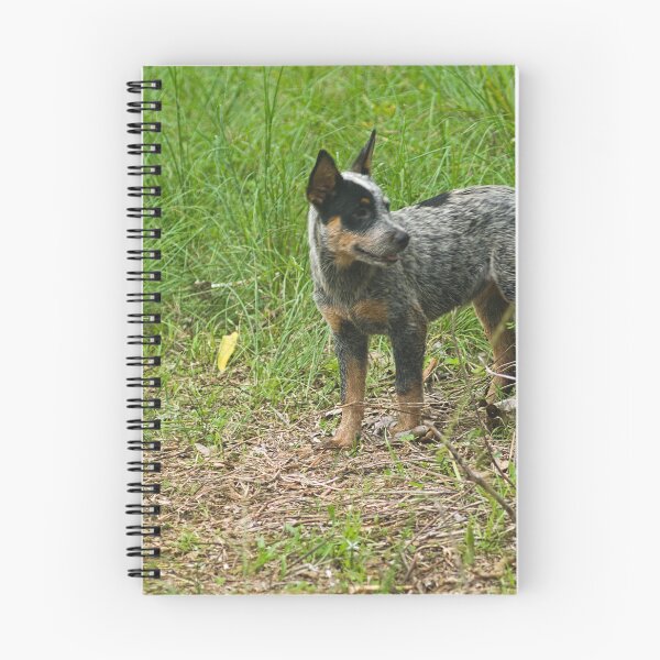 Item preview, Kla investigating designed and sold by pcfyi.