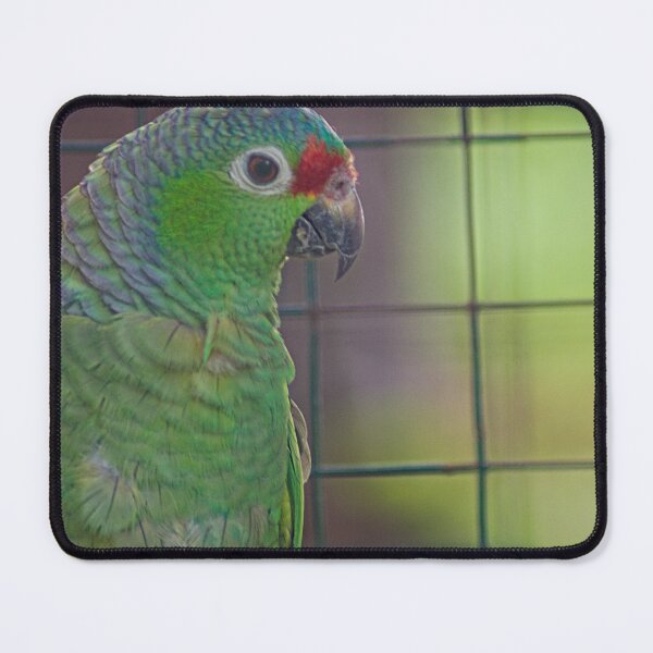 Item preview, Kla Malla designed and sold by pcfyi.