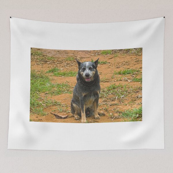Item preview, Kla papa b designed and sold by pcfyi.