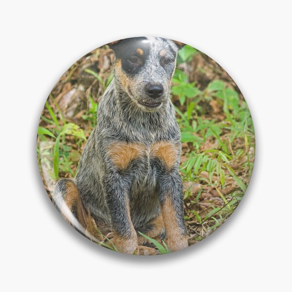 Item preview, Kla pup a  designed and sold by pcfyi.