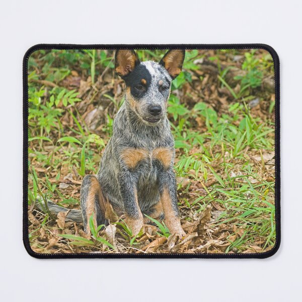 Item preview, Kla pup a  designed and sold by pcfyi.
