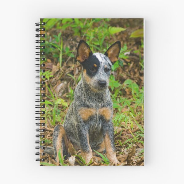 Item preview, Kla pup b designed and sold by pcfyi.