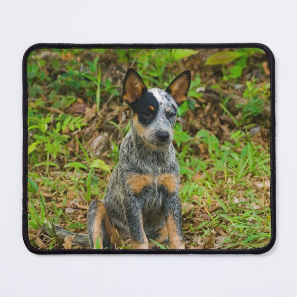 Item preview, Kla pup b designed and sold by pcfyi.