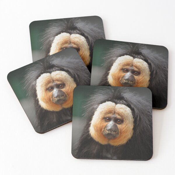 Item preview, White-faced Saki Monkey designed and sold by Savannah Gibbs.