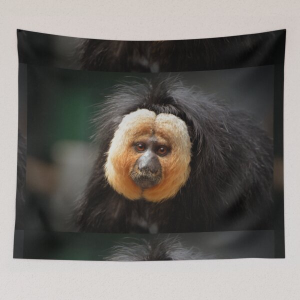Aperçu de l'œuvre Singe Saki à face blanche créée et vendue par Savannah Gibbs.