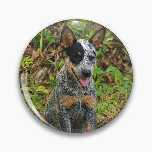 Item preview, Kla pups designed and sold by pcfyi.