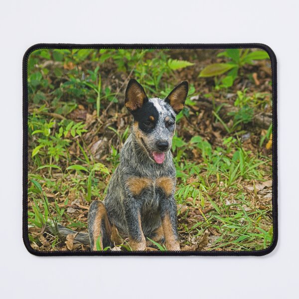 Item preview, Kla pups designed and sold by pcfyi.