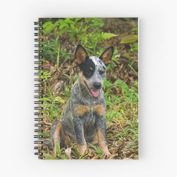 Item preview, Kla pups designed and sold by pcfyi.