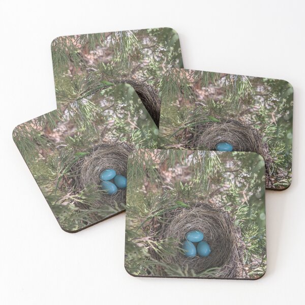 Item preview, robins eggs designed and sold by distracted.