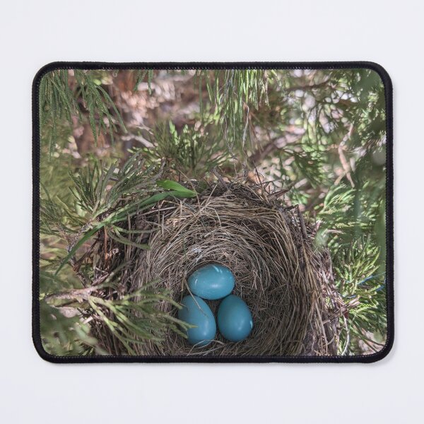 Item preview, robins eggs designed and sold by distracted.