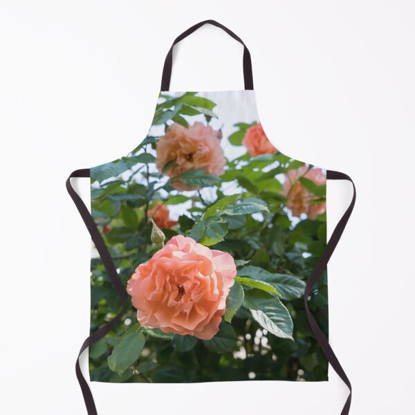 Item preview, Lush Rosebush with Scented Pink and Peach Rose Blooms designed and sold by Georgia Mizuleva.