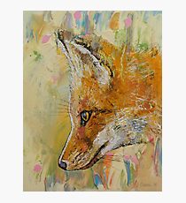Fox Photographic Print