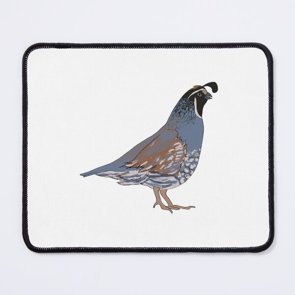 Item preview, California Quail designed and sold by Fawnadeer.