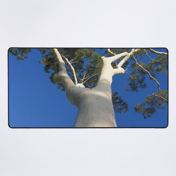 Item preview, Ghost Gum Tree at Lake Weeroona - Bendigo, Victoria, Australia designed and sold by Steven Jodoin.
