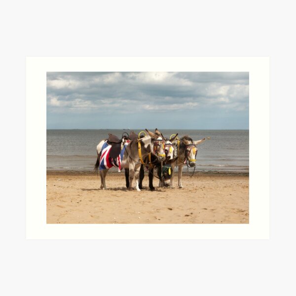 In the Donkey Ride Que Art Print